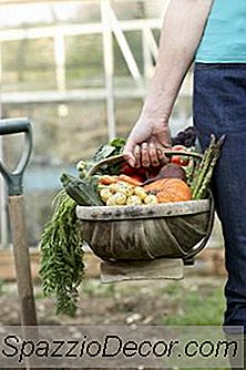 Hvordan Vokser En Veggie Garden Miljøvennlig?