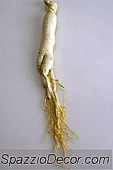 Beneficios Para La Salud Del Ginseng Americano